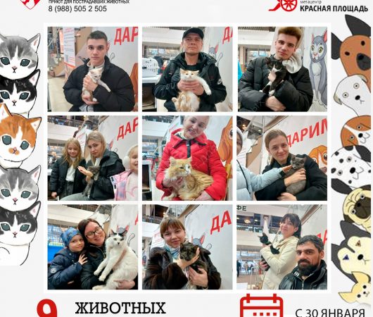 Спешим поделиться итогами выставки в Мегацентре 